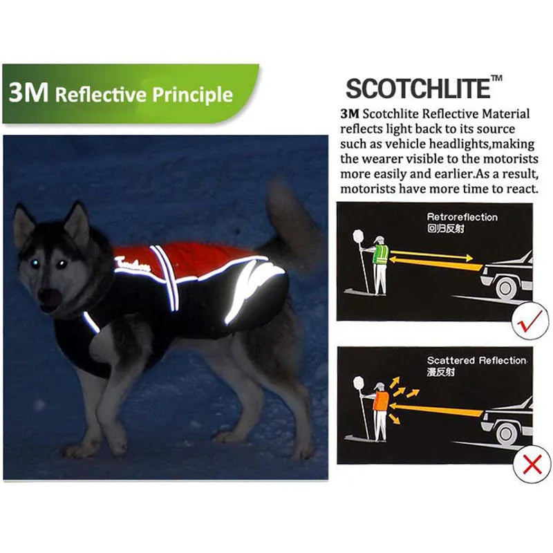 La veste imperméable