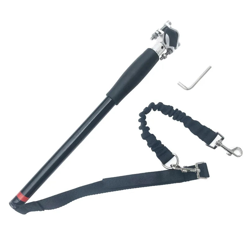 La laisse de BIkejoring