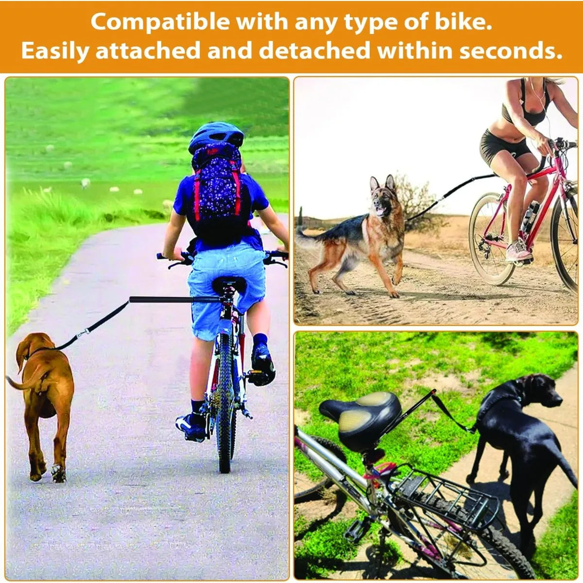 La laisse de BIkejoring